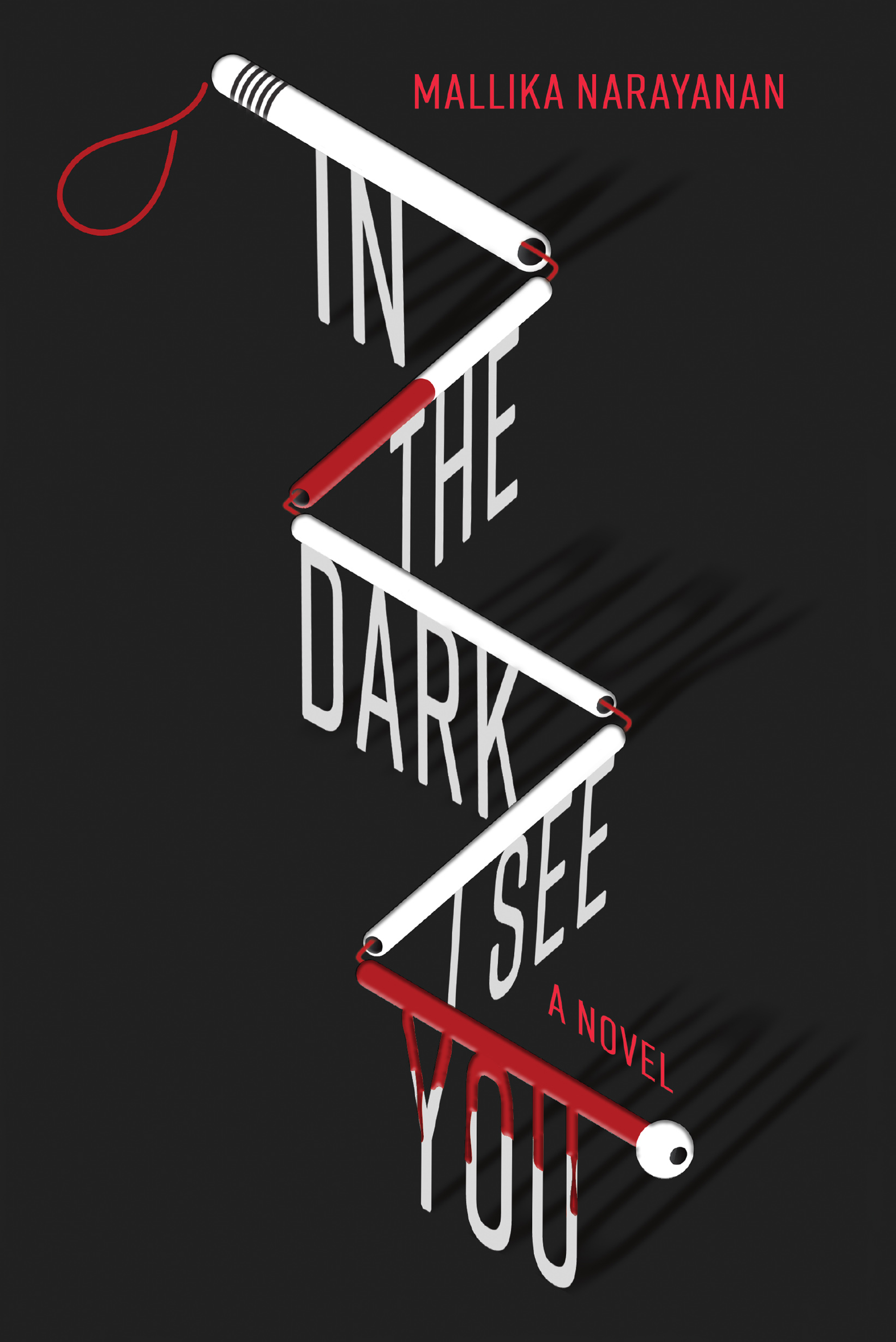 In the Dark I See You: A Novel (Paperback)