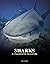 Sharks and Underwater Predators (Animals in Photographs)