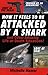 How It Feels to Be Attacked by a Shark by Michelle Hamer