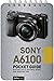 Sony a6100: Pocket Guide: B...