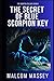 The Secret of Blue Scorpion...