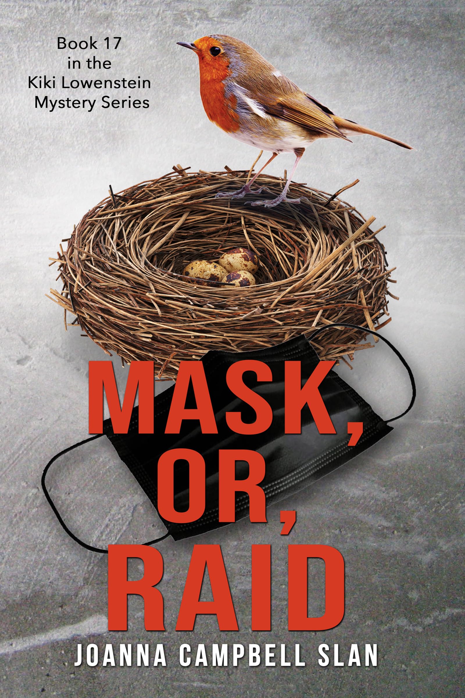 Mask or Raid (Kiki Lowenstein Mystery, #17)