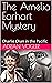 The Amelia Earhart Mystery:...