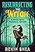 Resurrecting the Witch (Ó Cuinn Homes #1)