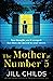The Mother at Number 5