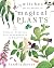 The Witches' Encyclopedia of Magical Plants: History, Folklore, Correspondences, and Spells