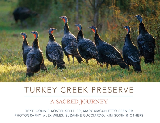 Turkey Creek Preserve: A Sacred Journey