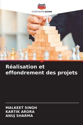 Réalisation et effondrement des projets (French Edition)
