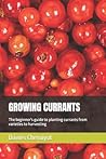 GROWING CURRANTS by Davies Cheruiyot GROWING CURRANTS by Davies Cheruiyot