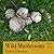 Wild Mushrooms: Poems of Ch...