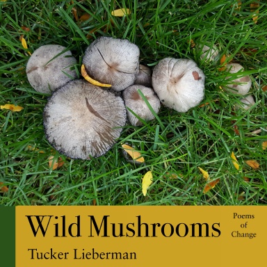 Wild Mushrooms: Poems of Change
