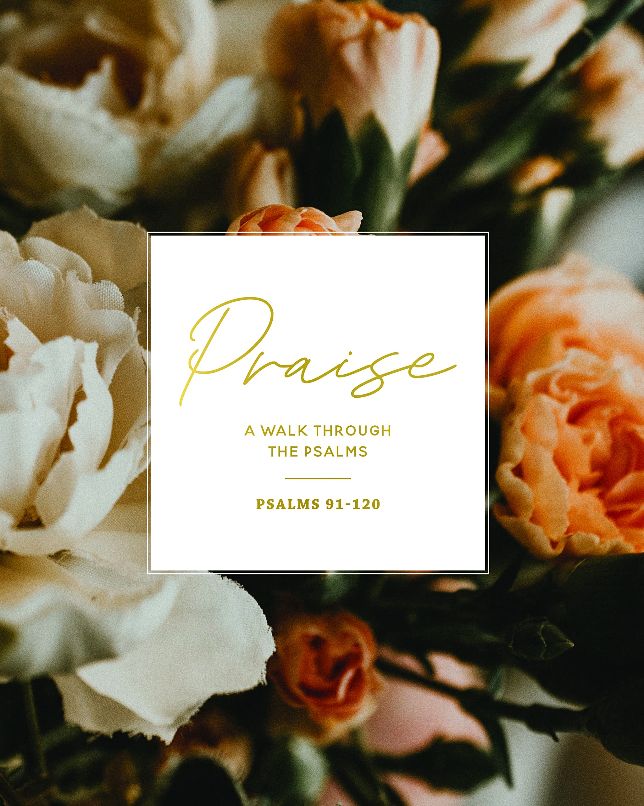 Praise | Psalms 91-120 (Paperback)