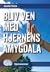 Bliv ven med hjernens amygdala