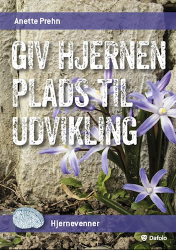 Giv hjernen plads til udvikling (Hjernevenner #5)