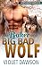 The Baker and the Big Bad W...