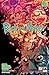 Rick and Morty (2023) #7