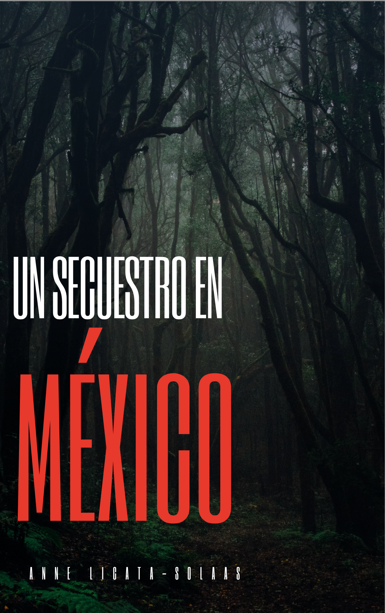 Un secuestro en México (Paperback)