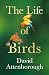 The Life of Birds