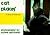 cat places: A Book of Postc...