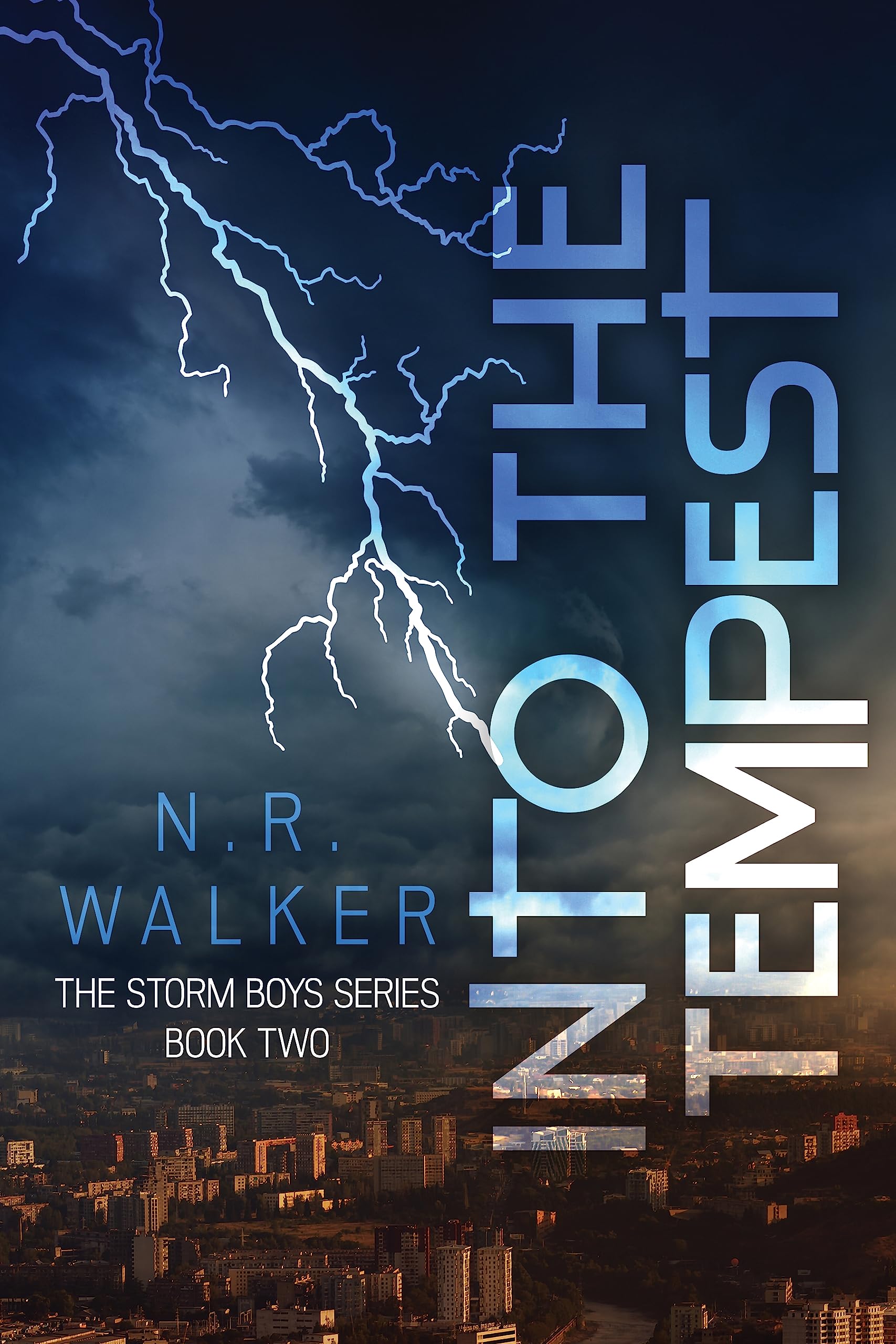 Into the Tempest (The Storm Boys #2)