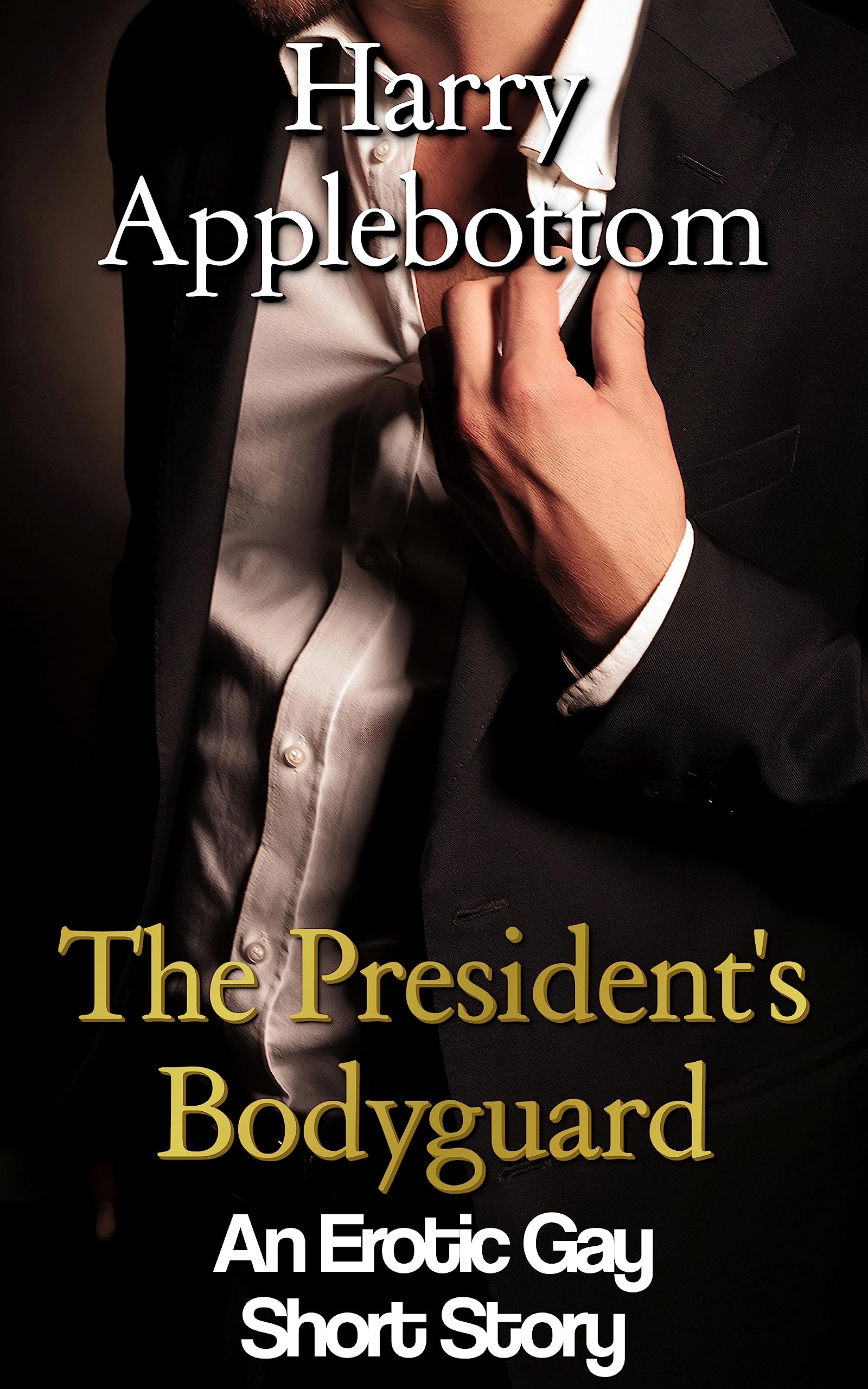 The President's Bodyguard (Kindle Edition)