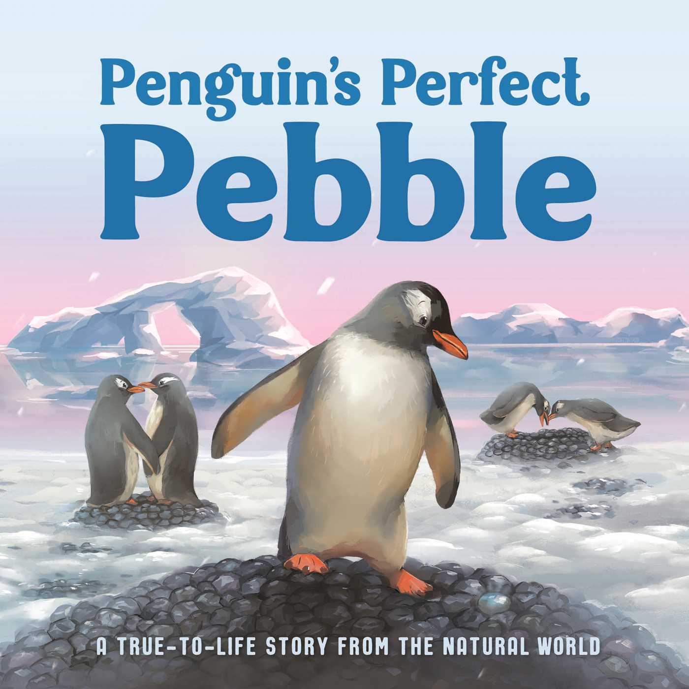Penguin's Perfect Pebble (Board Book)