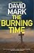 The Burning Time (A DS McAv...