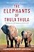 The Elephants of Thula Thula by Françoise Malby-Anthony