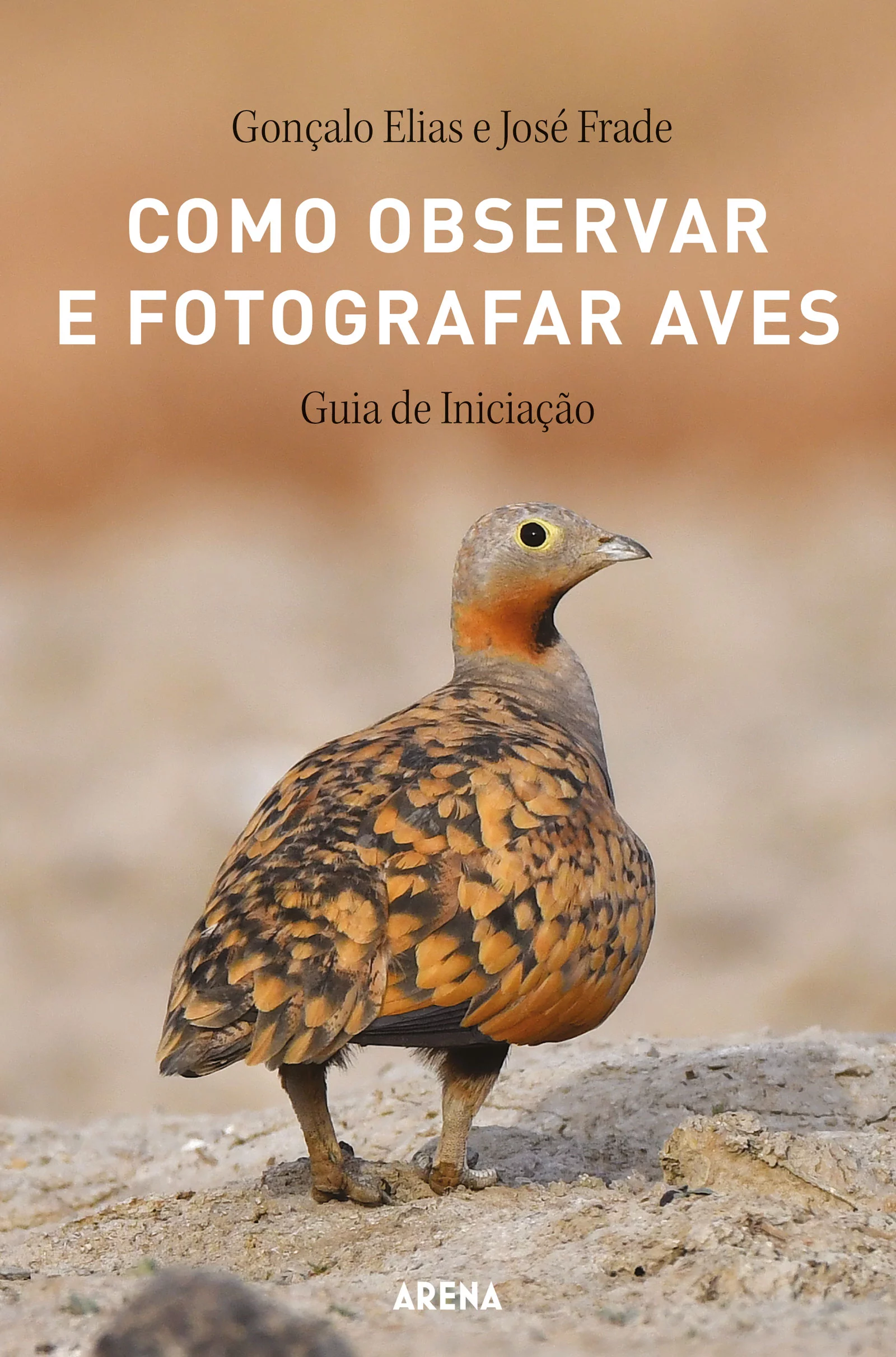 Como Observar e Fotografar Aves