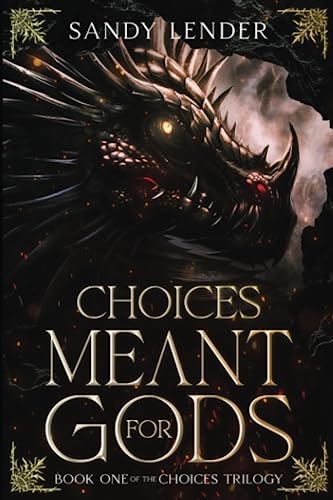 Choices Meant for Gods (Paperback)