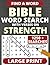 Large Print Bible Word Sear...