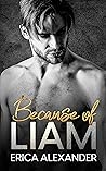 Book cover for Because of Liam (Riggins U, #2)