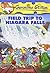 Geronimo Stilton #24: Field Trip to Niagara Falls (Special Value)