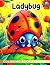 Ladybug Coloring Book For Kids by Chloé Roy
