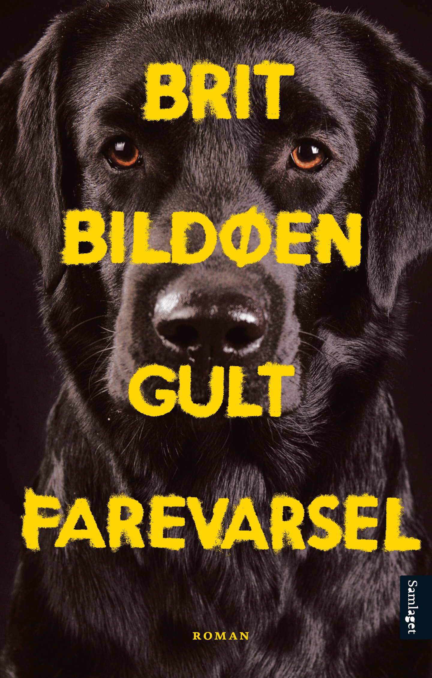 Gult farevarsel (Hardcover)