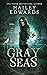 Gray Seas (Black Hat Bureau, #8) by Hailey Edwards