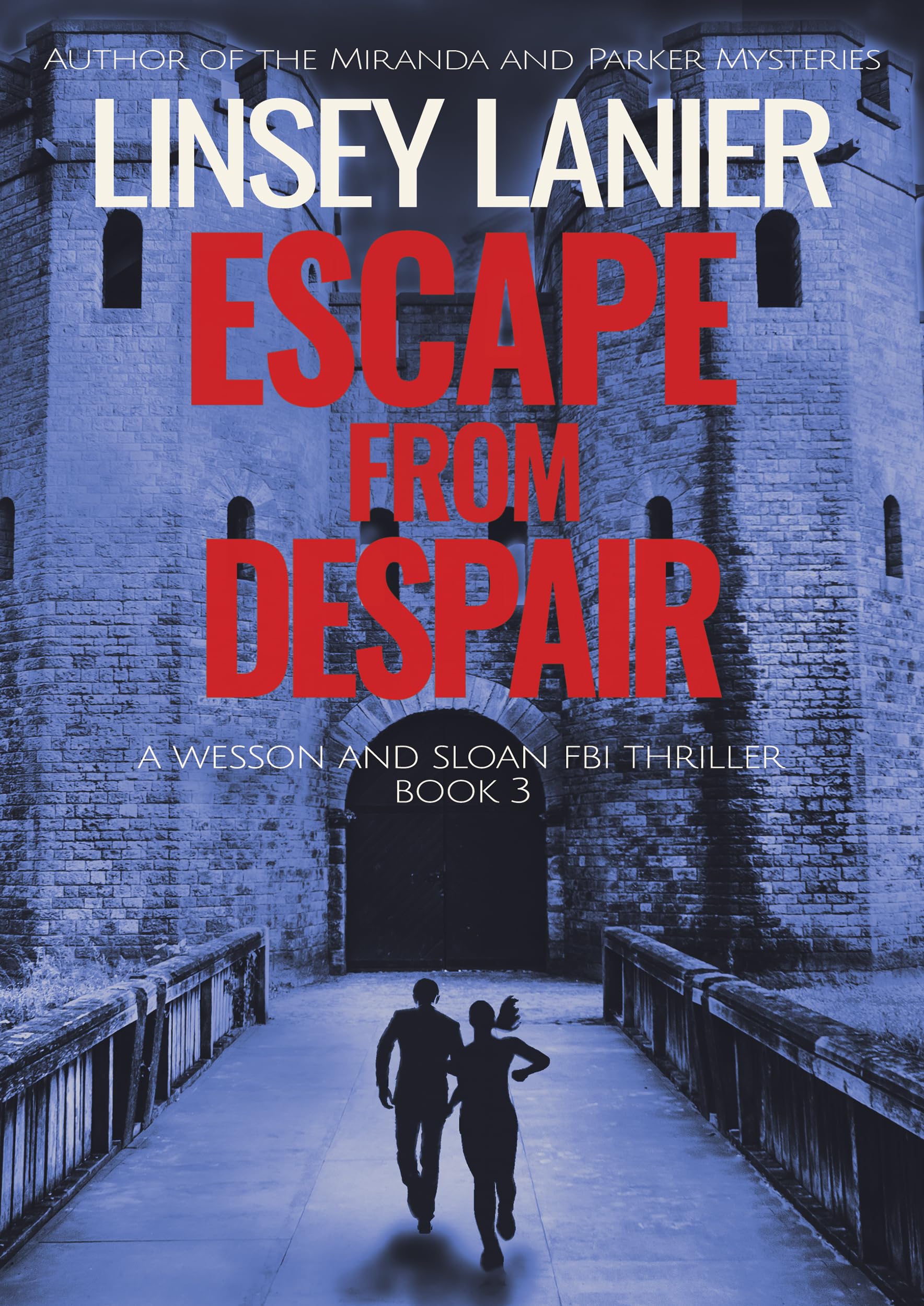 Escape from Despair (Wesson and Sloan FBI Thriller Book 3)