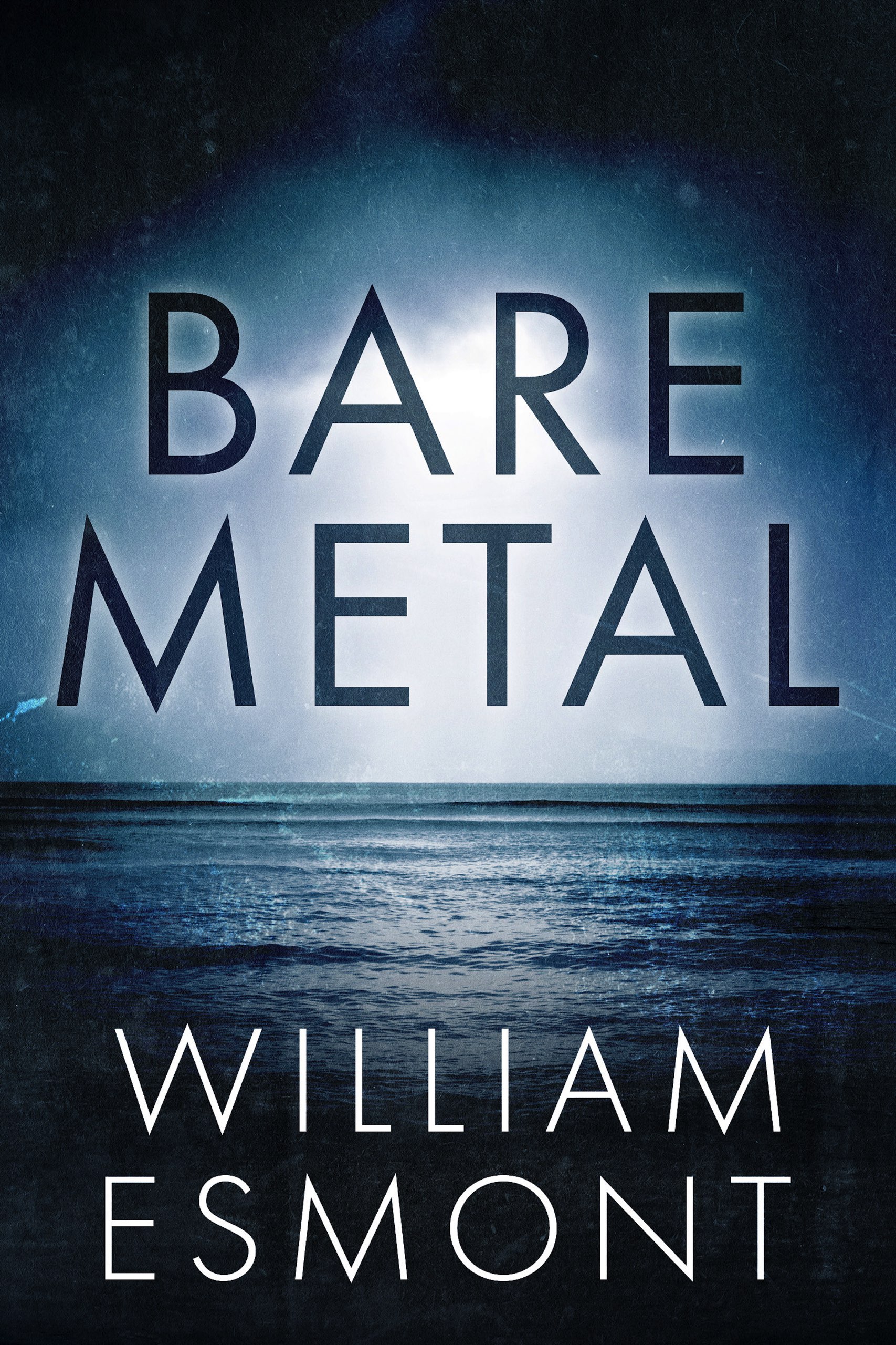 Bare Metal (Kindle Edition)