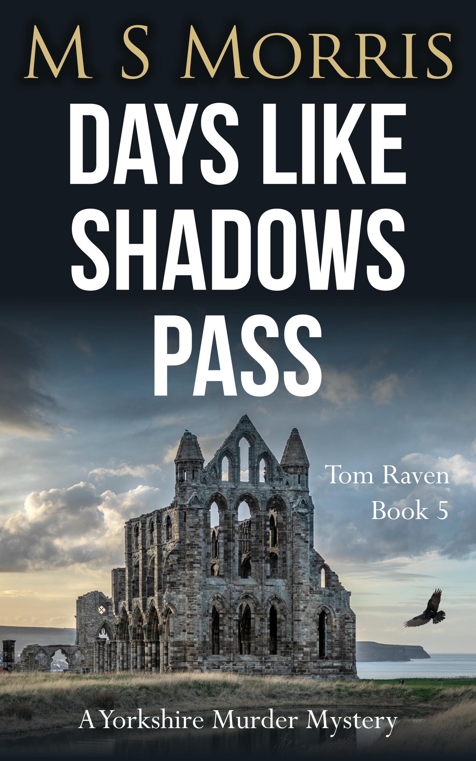 Days Like Shadows Pass (DCI Tom Raven #5)
