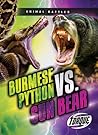 Burmese Python vs. Sun Bear (Animal Battles)