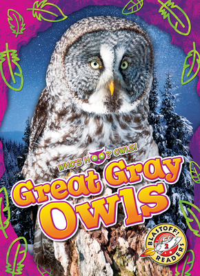 Barn Owls - Who's Hoo? Owls!, Non-Fiction Reading and Photos About Types of Owls for Grade 2 - Blastoff! Readers Collection