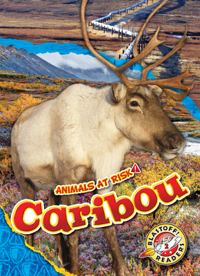 Caribou - Animals At Risk, Non-Fiction Reading About Endangered & Threatened Species for Grade 2 - Blastoff! Readers Collection