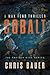 Cobalt (Maximum Risk, #1)