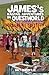 James's Ragtag Adventures in Questworld: The Journey Home (Book 7)