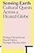 Sensing Earth: Cultural Quests Across a Heated Globe (Antennae: Arts in Society)