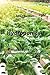 Hydroponics: How to Build a...