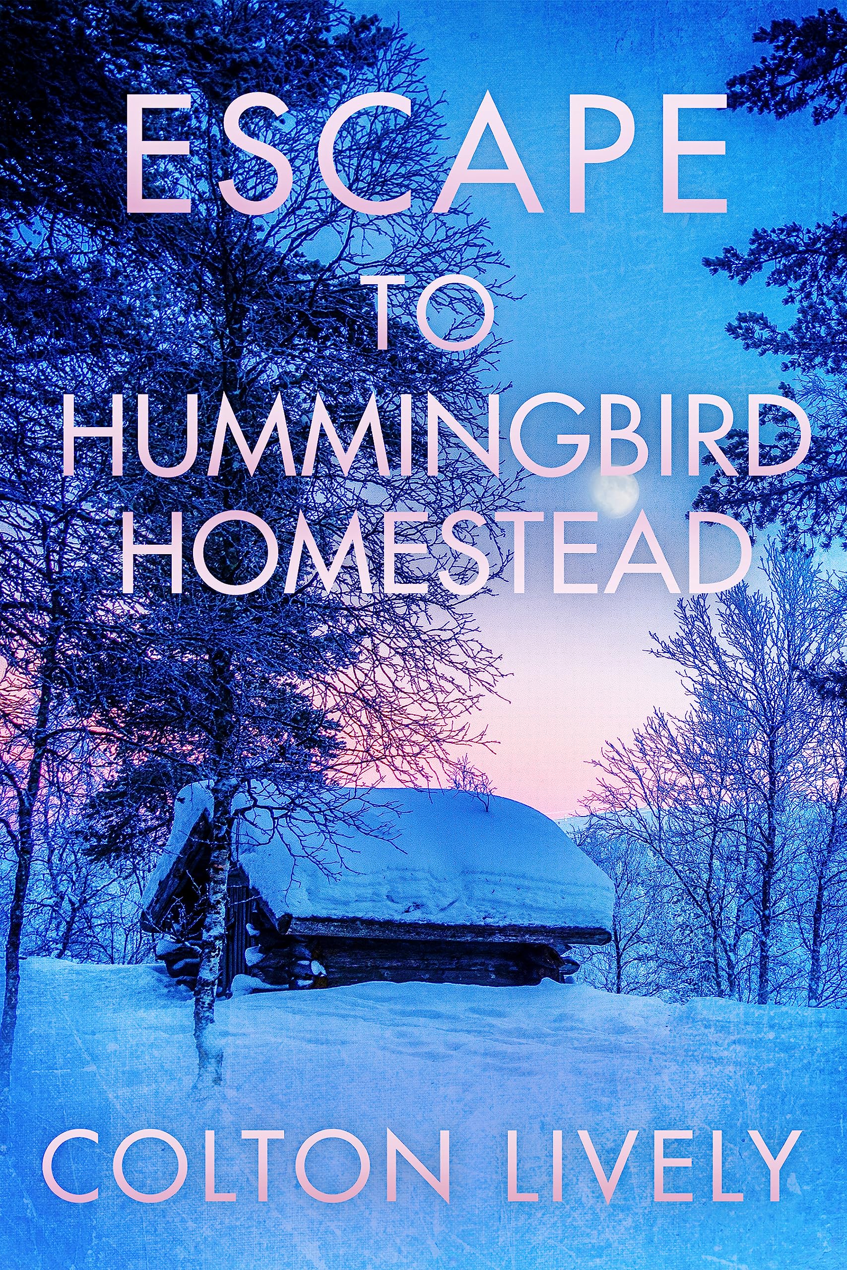 Escape to Hummingbird Homestead: A Small Town Post Apocalypse EMP Thriller (EMP Survival in a Powerless World Book 53)