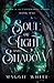 Soul of Light and Shadow (Lords of the Underworld)