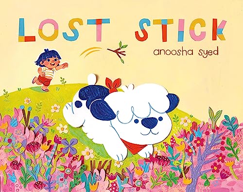 Lost Stick (Hardcover)