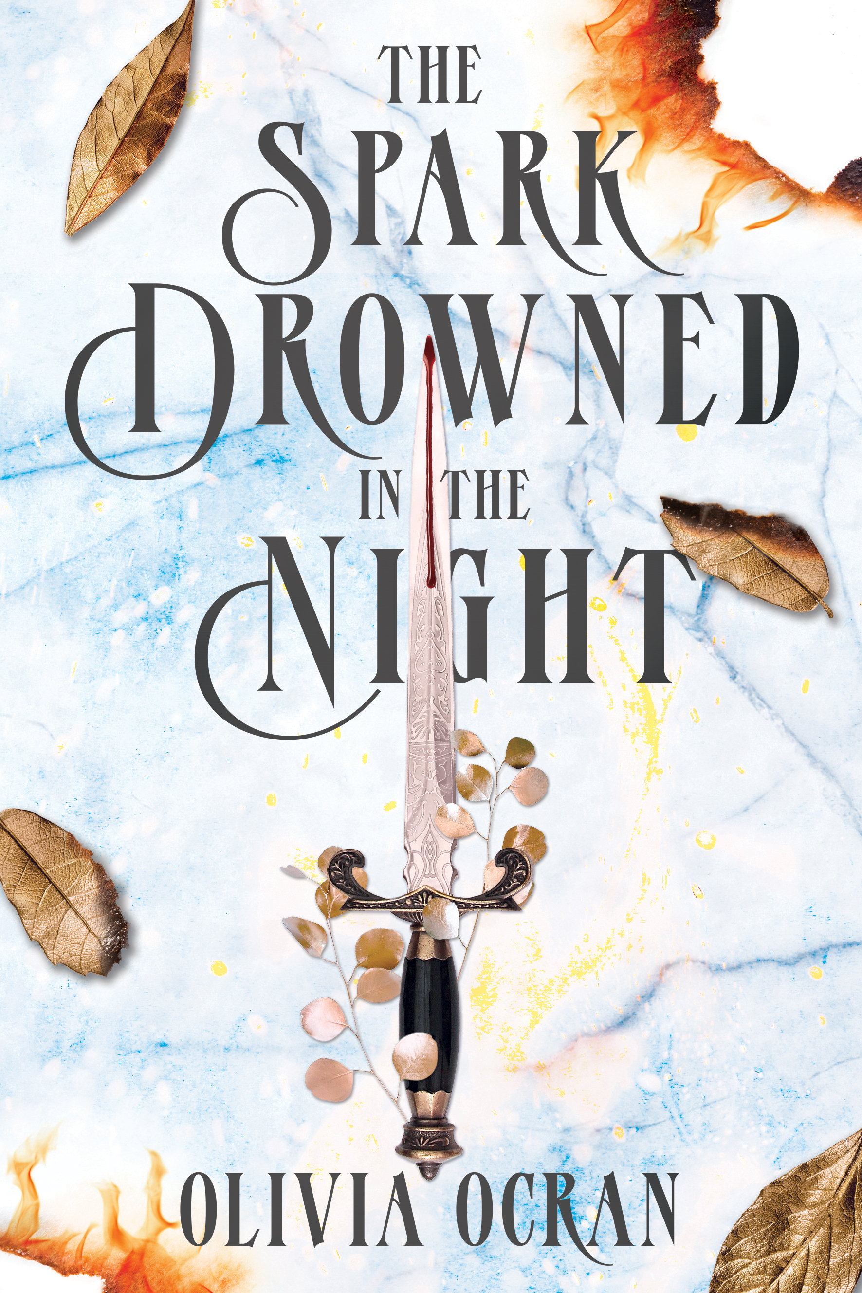 The Spark Drowned in the Night (The Erea Chronicles Book 2)